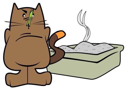Kedi Kumları