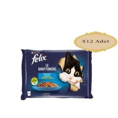 Felix Somonlu Ve Ton Balıklı Kedi Pouch 340GR X 12
