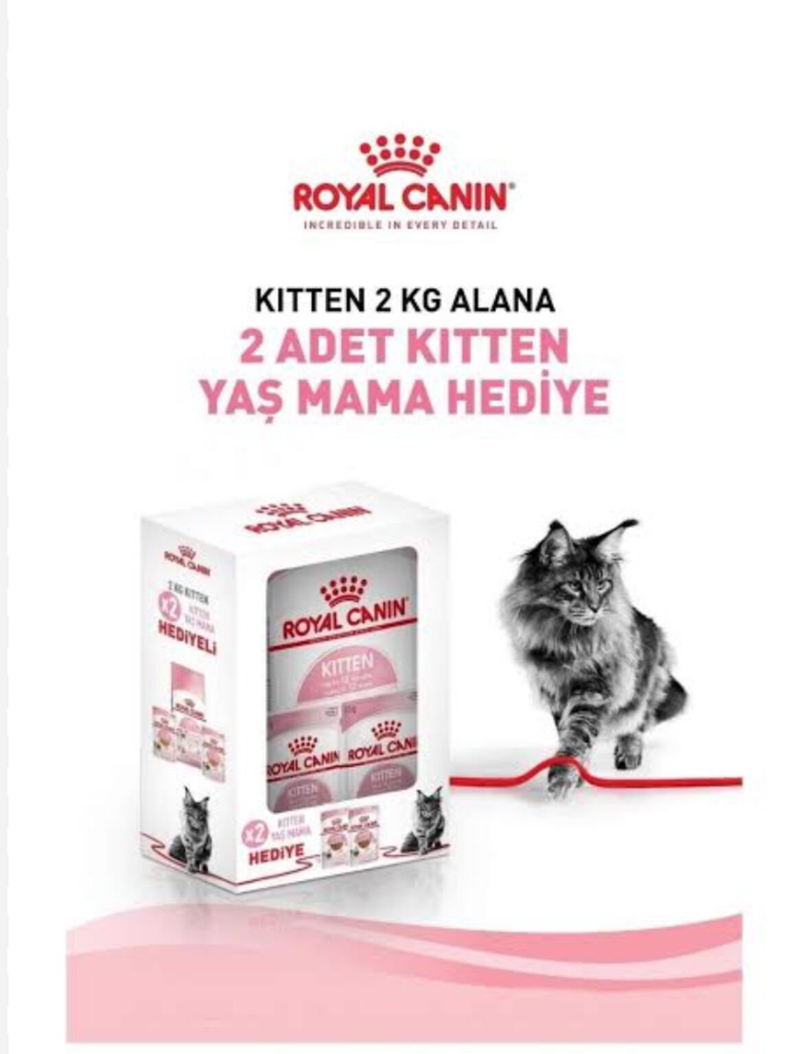 Royal Canin Kitten Yavru Kedi Maması 2 Kg + 2 Adet Kitten Pouch 85 Gr