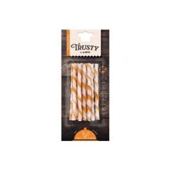 M-Pets Trusty Chıken Twısted Stıck 10lu 55gr/12,7cm