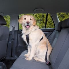Trixie Köpek Emniyet Kemeri M 50-70Cm