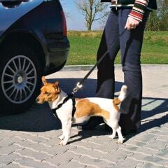Trixie Köpek Emniyet Kemeri L 70-90Cm