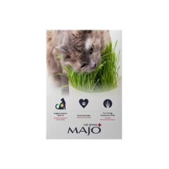 Majo Plastik Kedi Kulaklı Kedi Çimi Ve Mama Kabı