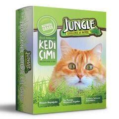 Jungle Kedi Çimi Seti kutulu (fileli)