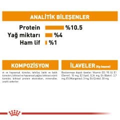 Royal Canin Intense Beauty Kedi Konservesi 85Gr
