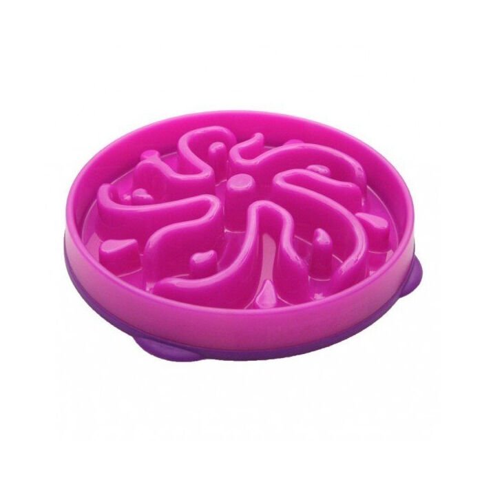 Pawise Köpekler için Yavaş Beslenme Mama Kabı 27cm 1500ml