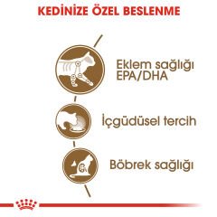 Royal Canin Ageing+12 Kedi Konservesi 85Gr