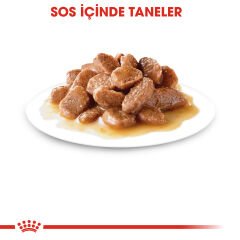 Royal Canin Ageing+12 Kedi Konservesi 85Gr