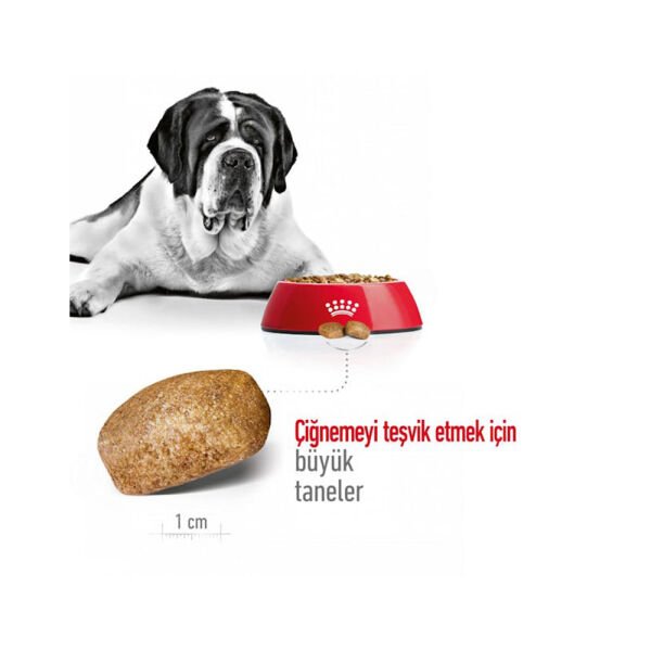 Royal Canin Giant Adult Dev Irk Yetişkin Köpek Maması 15Kg