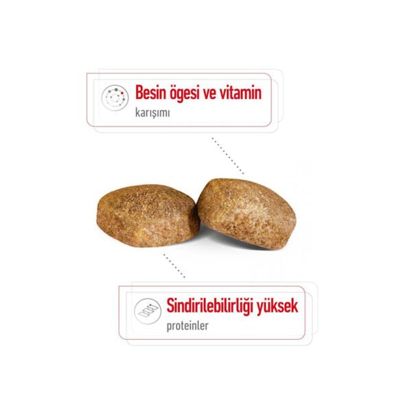 Royal Canin Giant Adult Dev Irk Yetişkin Köpek Maması 15Kg