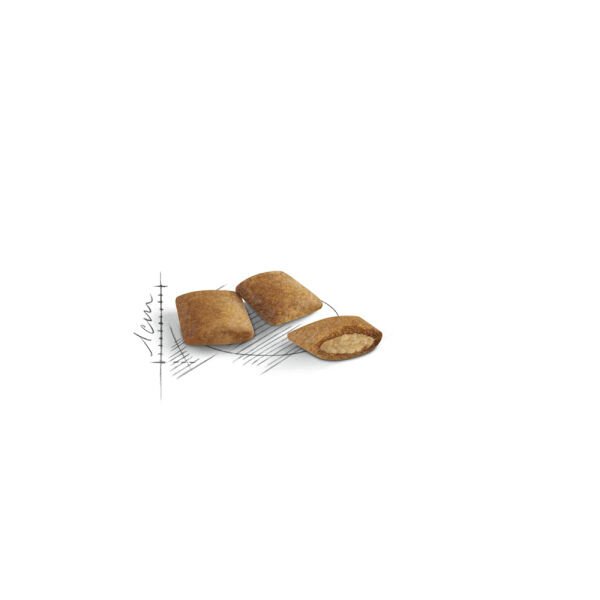 Royal Canin Ageing +12 Yaşlı Kedi Maması 2Kg