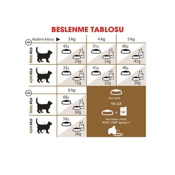 Royal Canin Ageing +12 Yaşlı Kedi Maması 2Kg
