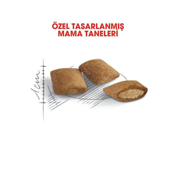 Royal Canin Ageing +12 Yaşlı Kedi Maması 2Kg