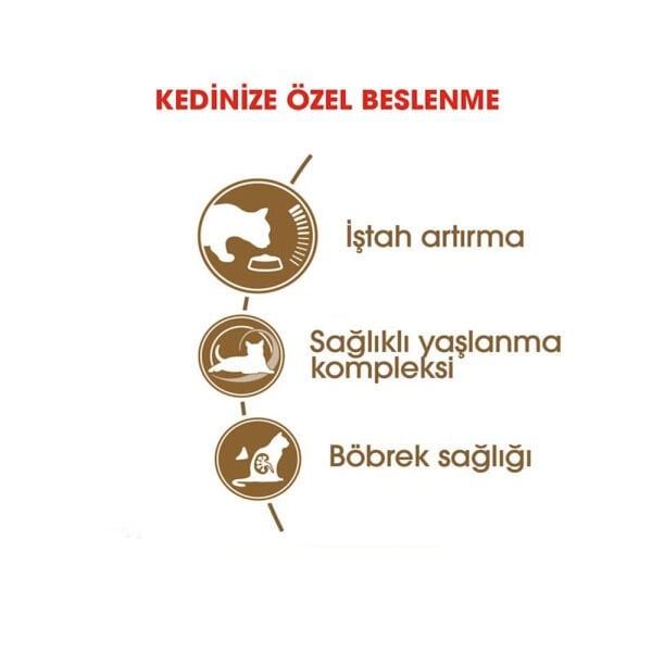 Royal Canin Ageing +12 Yaşlı Kedi Maması 2Kg