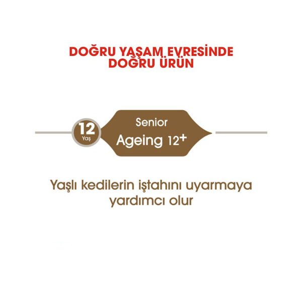 Royal Canin Ageing +12 Yaşlı Kedi Maması 2Kg