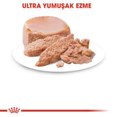 Royal Canin Babycat İnstinctive Yavru ve Anne Kediler için Konserve 195Gr