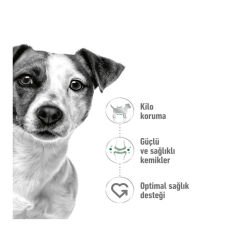 Royal Canin Mini Adult Yetişkin Köpek Maması 2Kg