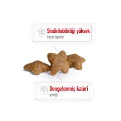 Royal Canin Mini Adult Yetişkin Köpek Maması 2Kg