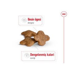 Royal Canin Mini Mature +8 Küçük Irk Yaşlı Köpek Maması 2Kg