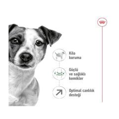 Royal Canin Mini Mature +8 Küçük Irk Yaşlı Köpek Maması 2Kg