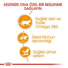 Royal Canin Intense Beauty Jelly Kedi Konservesi 85gr