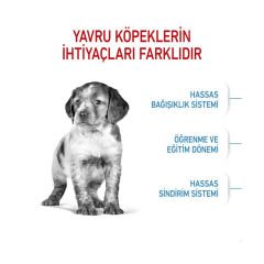 Royal Canin Medium Junior Orta Irk Yavru Köpek Maması 4Kg