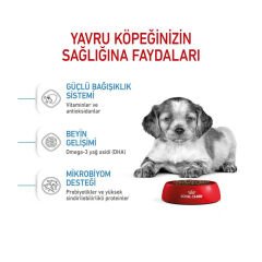 Royal Canin Medium Junior Orta Irk Yavru Köpek Maması 4Kg