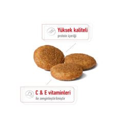 Royal Canin Medium Adult Orta Irk Yetişkin Köpek Maması 15 Kg