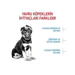 Royal Canin Maxi Junior Büyük Irk Yavru Köpek Maması 15Kg