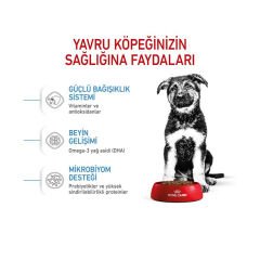 Royal Canin Maxi Junior Büyük Irk Yavru Köpek Maması 15Kg