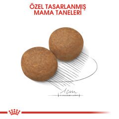 Royal Canin Maxi Adult Büyük Irk Yetişkin Köpek Maması 15Kg
