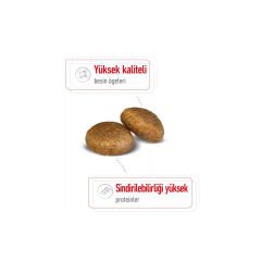 Royal Canin Maxi Adult Büyük Irk Yetişkin Köpek Maması 15Kg