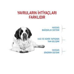 Royal Canin Giant Junior Dev Irk Köpek Maması 15Kg