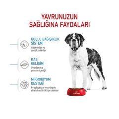 Royal Canin Giant Junior Dev Irk Köpek Maması 15Kg