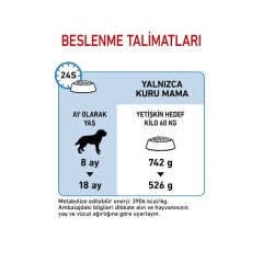 Royal Canin Giant Junior Dev Irk Köpek Maması 15Kg