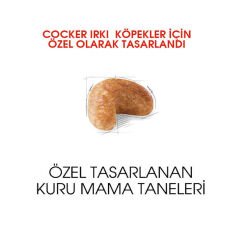 Royal Canin Cocker Köpek Maması 3Kg