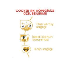 Royal Canin Cocker Köpek Maması 3Kg