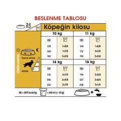 Royal Canin Cocker Köpek Maması 3Kg