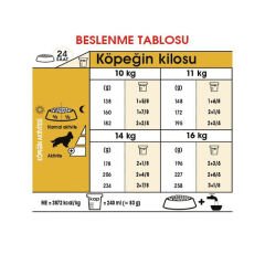 Royal Canin Cocker Köpek Maması 3Kg
