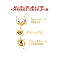 Royal Canin Golden Retriever Köpek Maması 12Kg