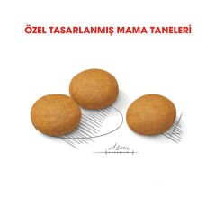 Royal Canin Dermacomfort Maxi Hassas Deri ve Tüylü Köpek Maması 12 kg