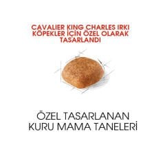Royal Canin Cavalier King Charles Yetişkin Köpek Maması 1.5Kg
