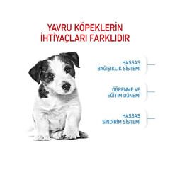 Royal Canin Mini Junior Küçük Irk Yavru Köpek Maması 2Kg