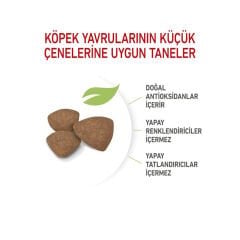 Royal Canin Mini Junior Küçük Irk Yavru Köpek Maması 2Kg