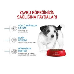 Royal Canin Mini Junior Küçük Irk Yavru Köpek Maması 2Kg