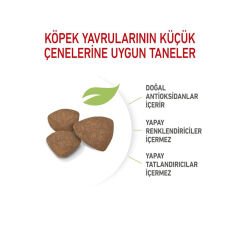 Royal Canin Mini Junior Küçük Irk Yavru Köpek Maması 4Kg