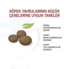 Royal Canin Medium Junior Orta Irk Yavru Köpek Maması 15 Kg