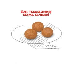 Royal Canin X-Small Küçük Irk Yetişkin Köpek Maması 1.5Kg