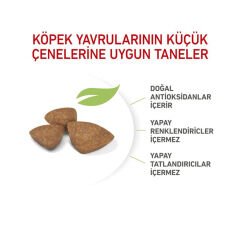 Royal Canin X-Small Küçük Irk Yavru Köpek Maması 1.5Kg