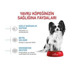 Royal Canin X-Small Küçük Irk Yavru Köpek Maması 1.5Kg